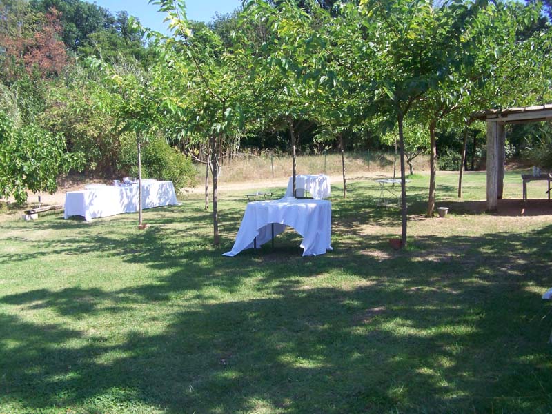 Mas de la Grillonne_83260 LA CRAU_11 Mas de la Grillonne_83260 LA CRAU_11